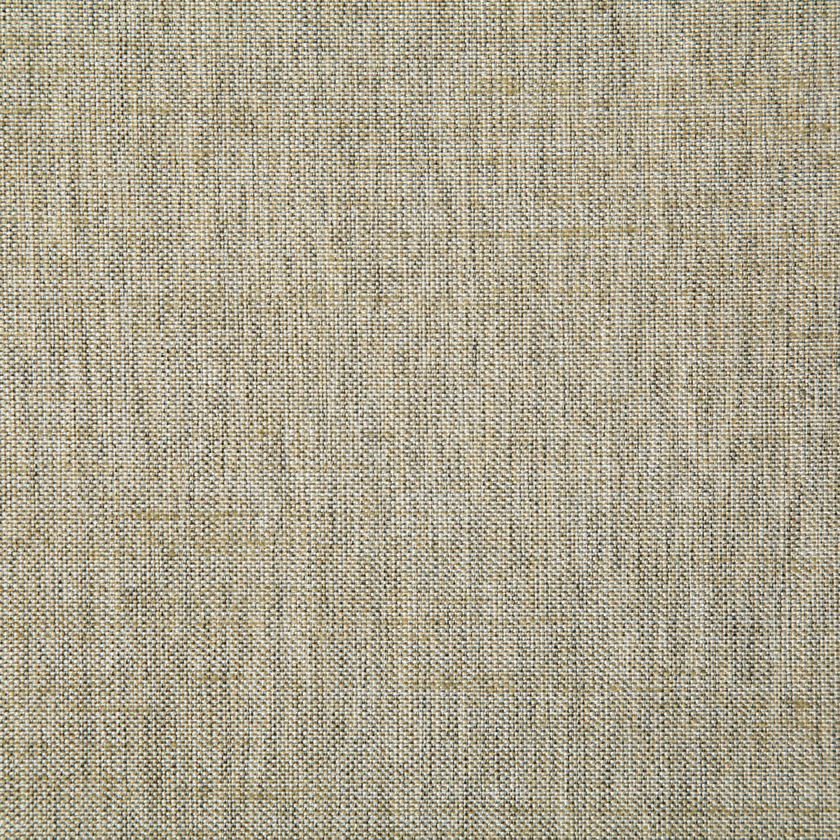 7232-beck-birch-pindler