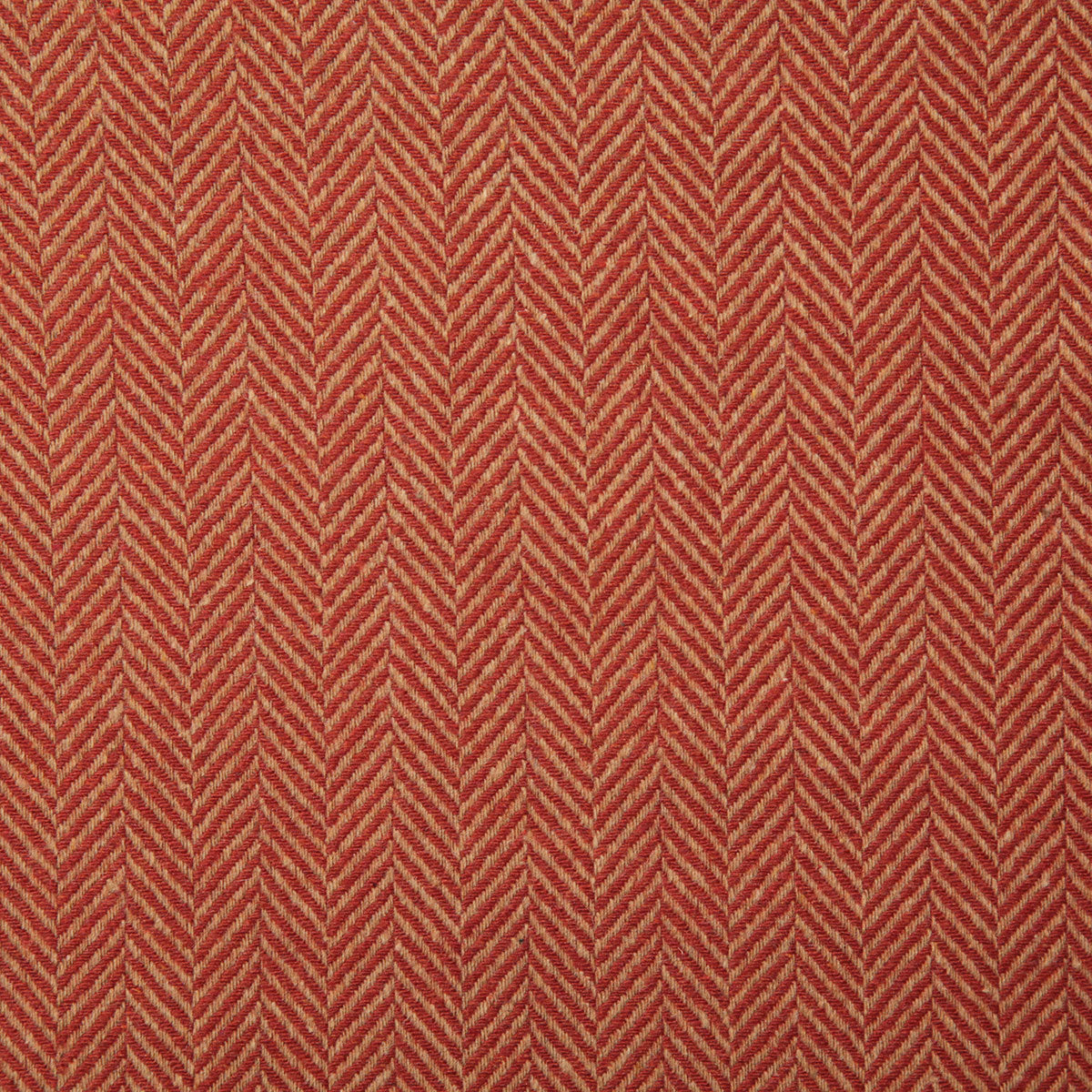 7240-ellis-spice-pindler