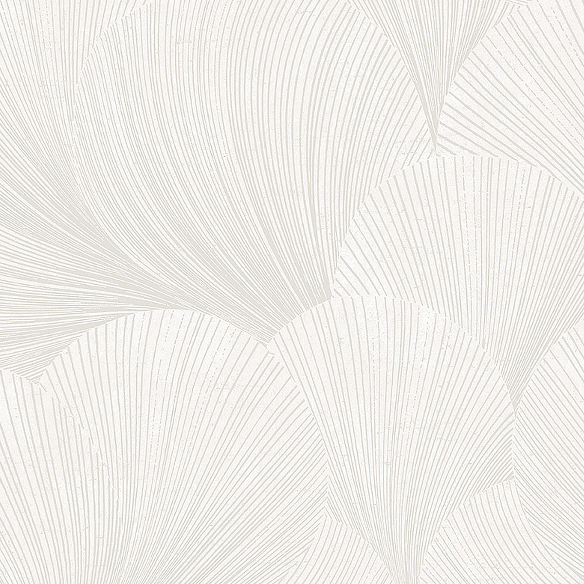 MIRAGE-BONE-SCHUMACHER-7260