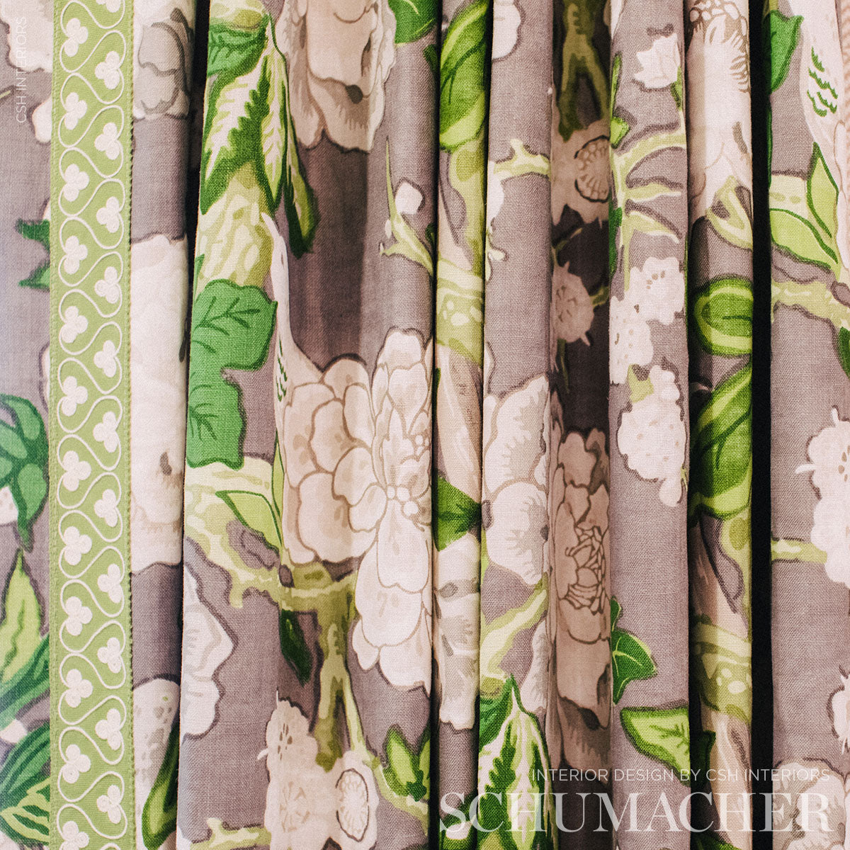 COQUETTE-TAPE-LEAF-SCHUMACHER-72741
