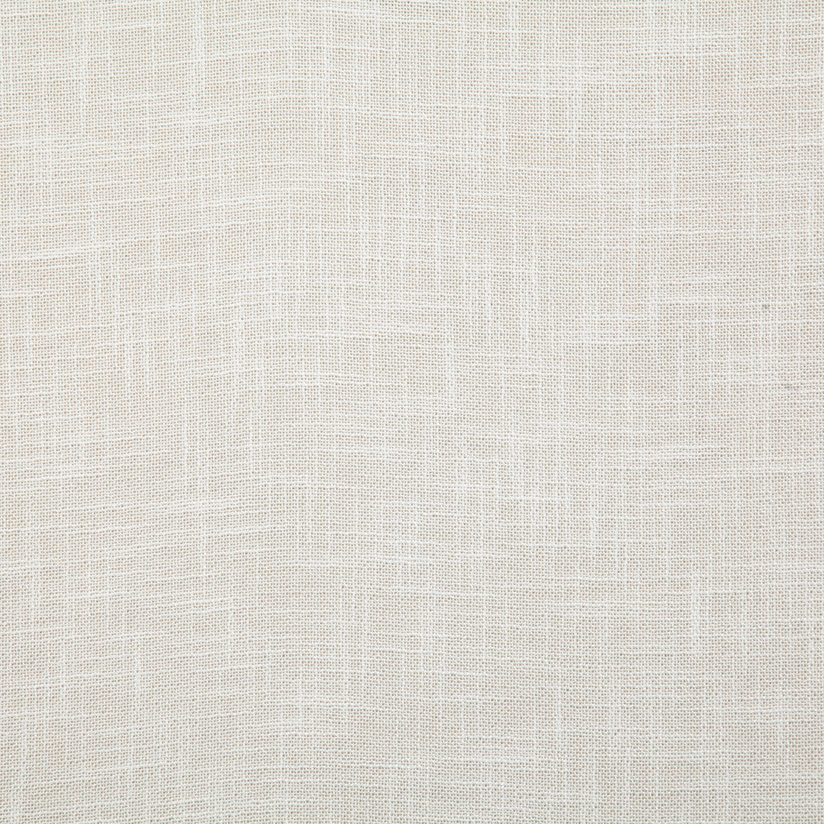 7341-georgina-coconut-pindler