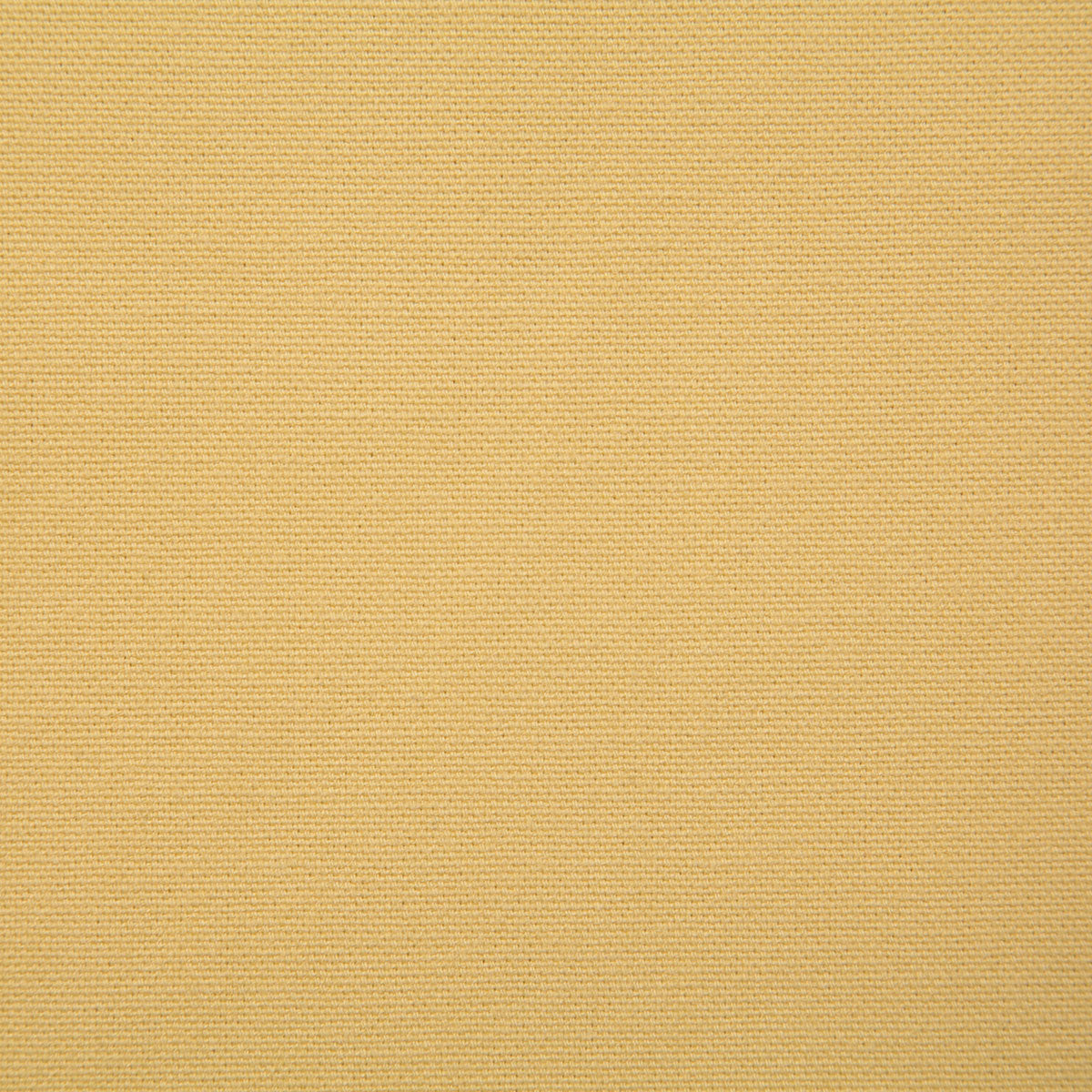 7415-hutton-dandelion-pindler - Pindler Fabric