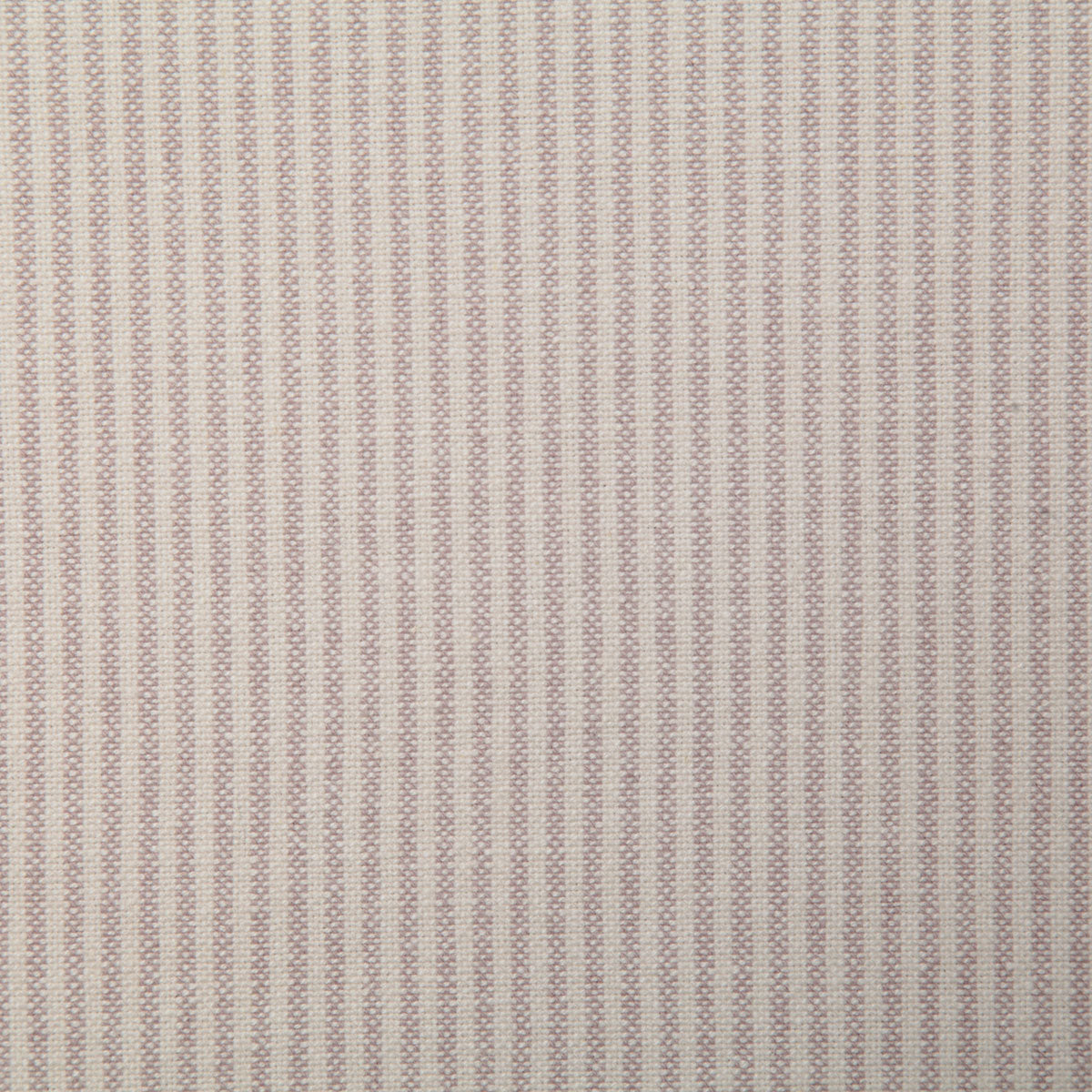 7425-campbell-thistle-pindler