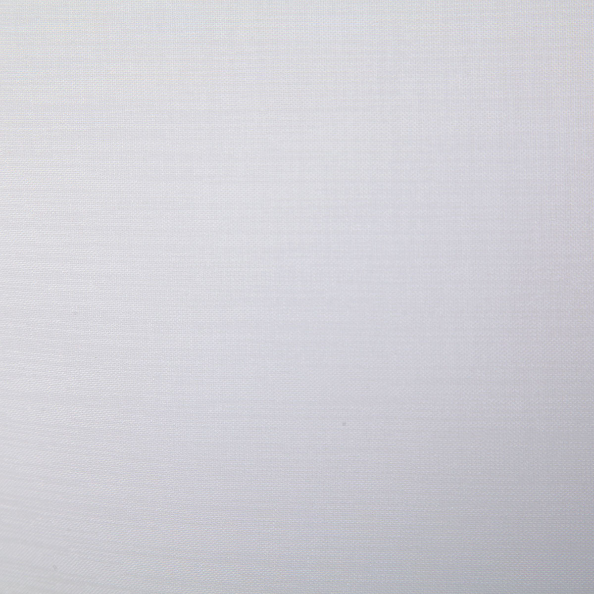 7481-carmichael-white-pindler