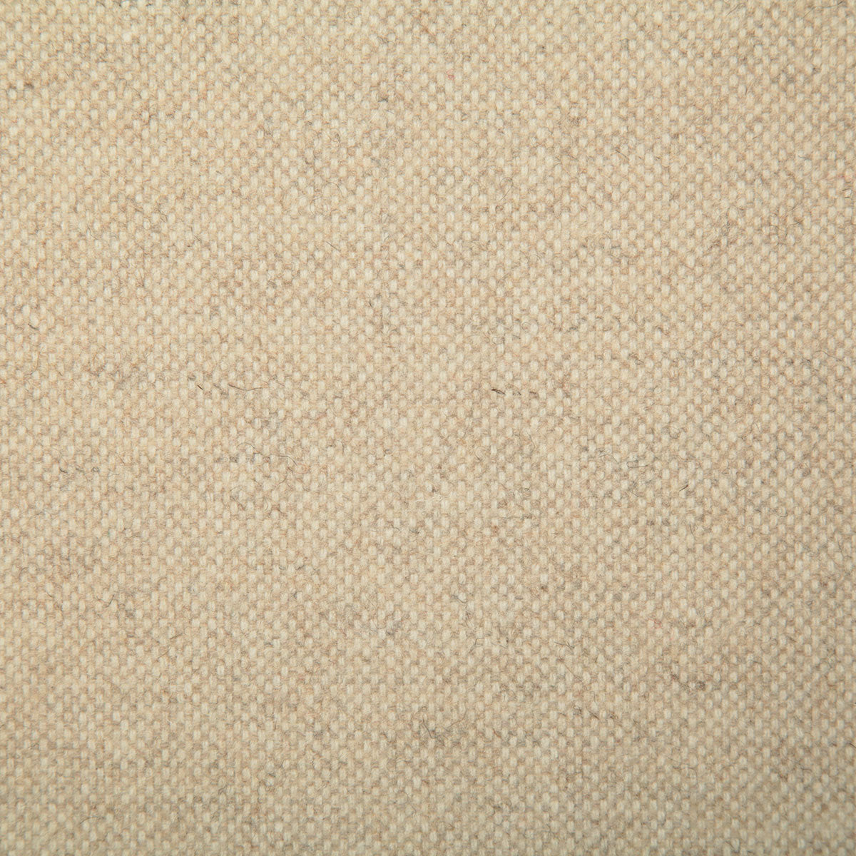 7497-kenneth-cashmere-pindler
