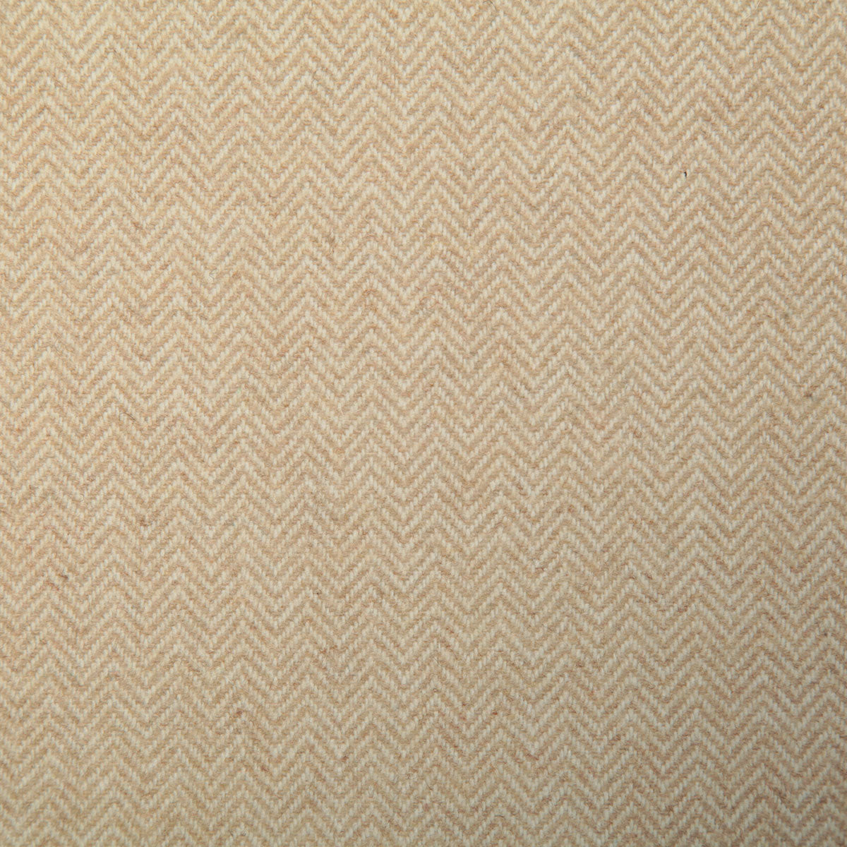 7498-michael-chamois-pindler