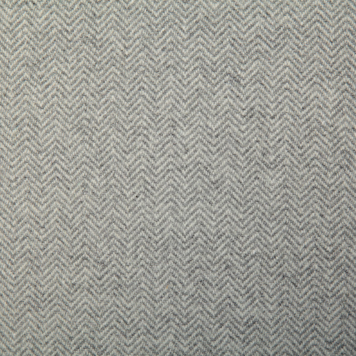 7498-michael-dove-pindler
