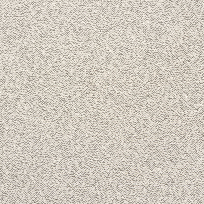 STINGRAY-PEWTER-SCHUMACHER-75201