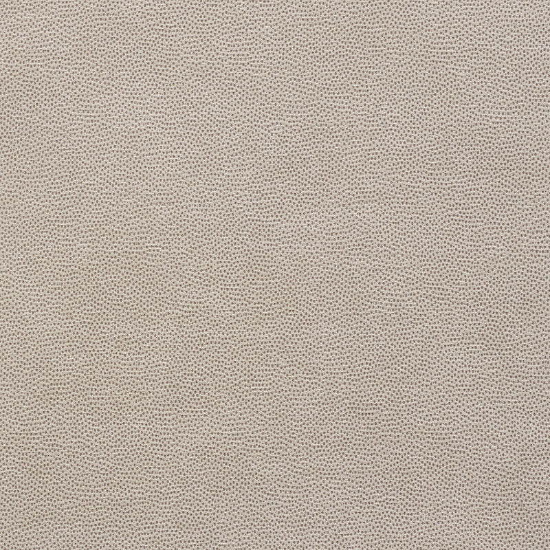 STINGRAY-ZINC-SCHUMACHER-75202