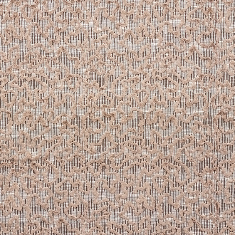 JANIS-VELVET-BROWN-SCHUMACHER-75221