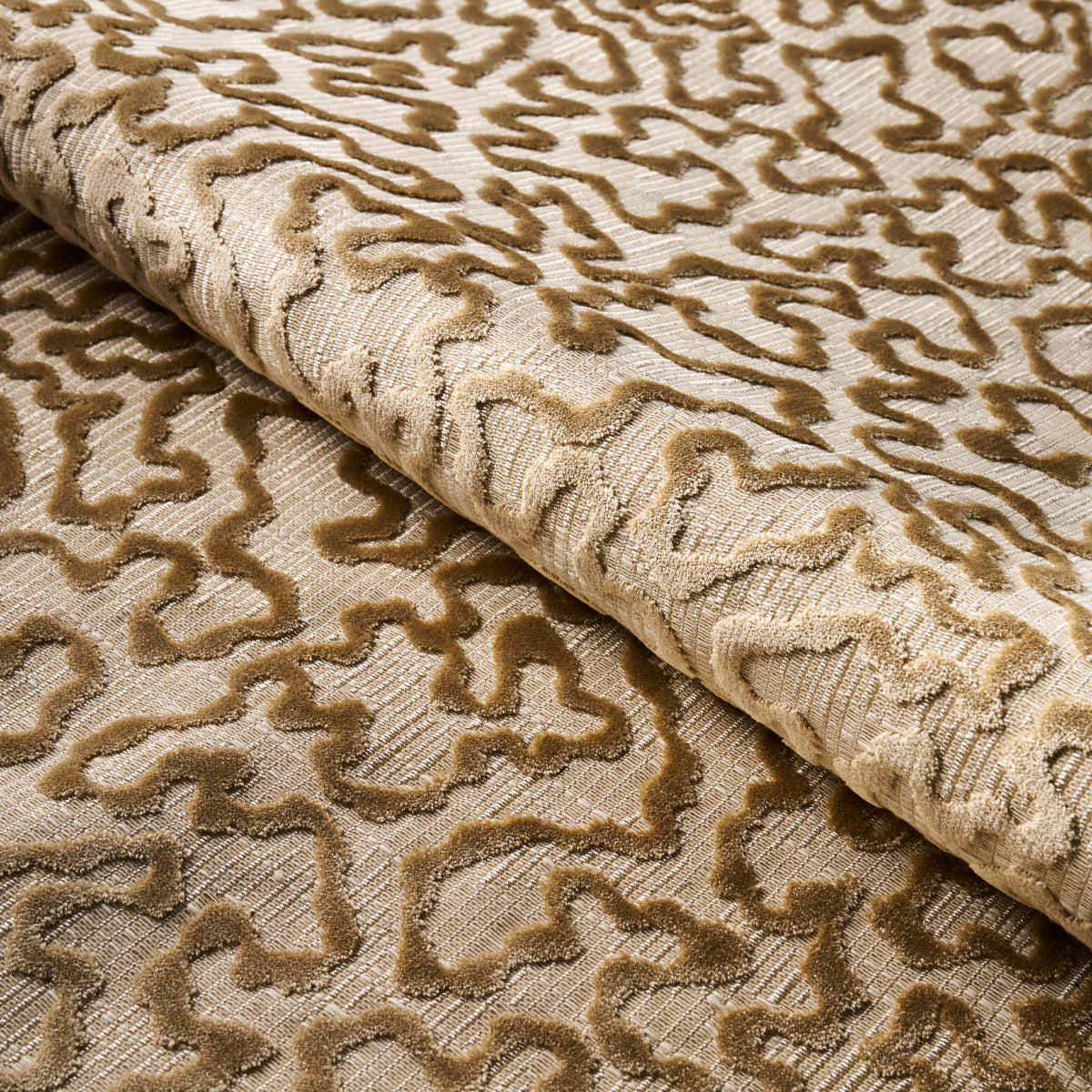 JANIS-VELVET-CHAMPAGNE-SCHUMACHER-75224