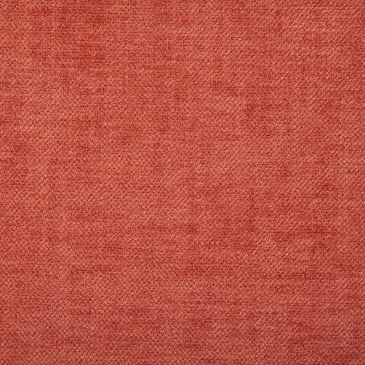 7533-peyton-coral-pindler