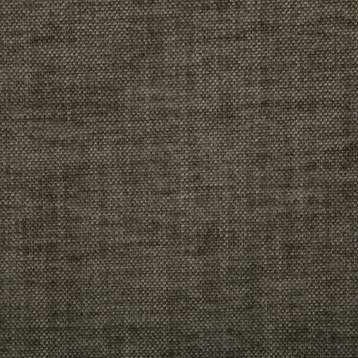 7533-peyton-mink-pindler - Pindler Tela