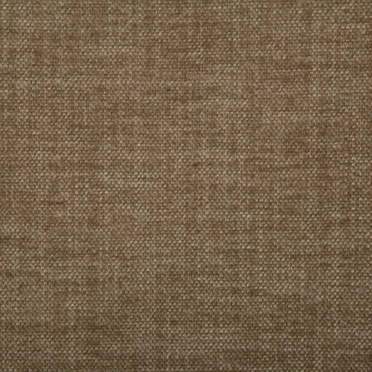 7533-peyton-mushroom-pindler - Pindler Tela