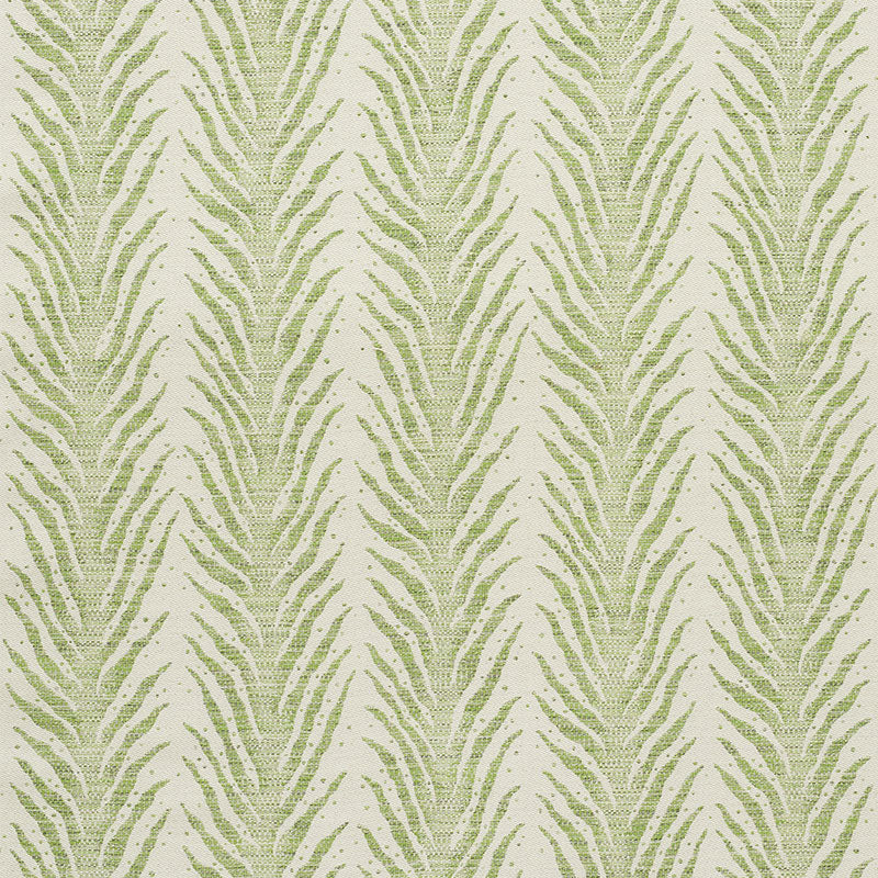 CREEPING-FERN-MOSS-SCHUMACHER-75452