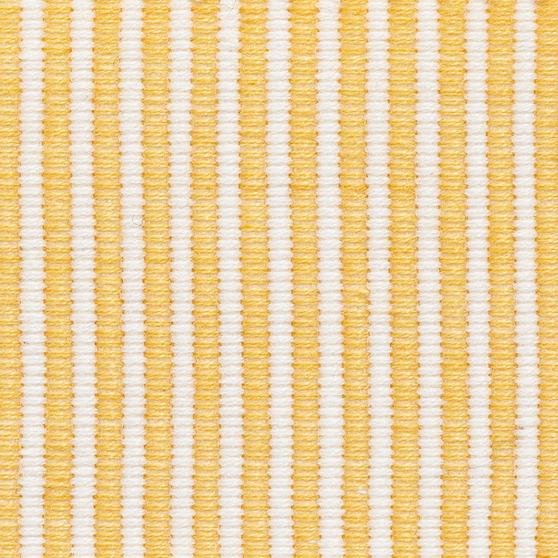 KNOX-TAPE-GOLD-SCHUMACHER-75581