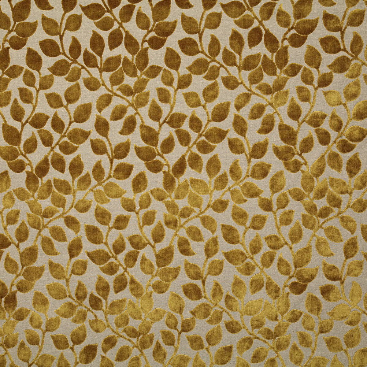 7603-lottie-golden-pindler - Pindler Tela
