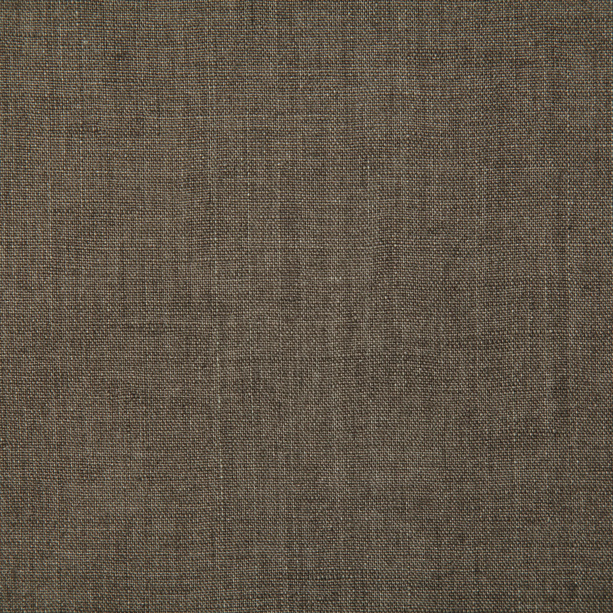 7646-linette-driftwood-pindler