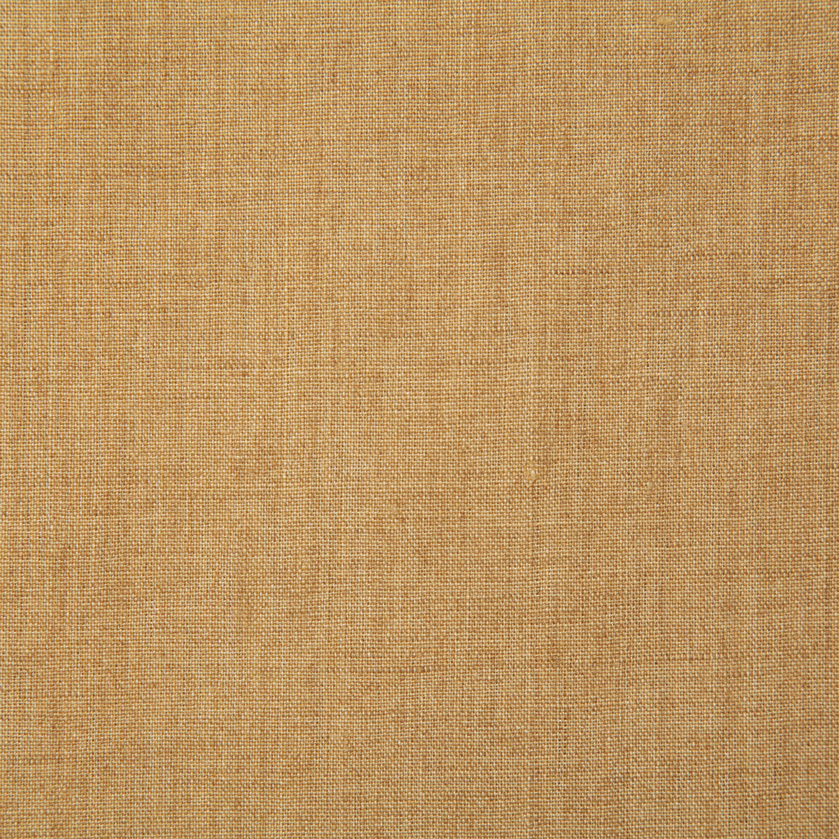 7646-linette-gold-pindler - Pindler Fabric