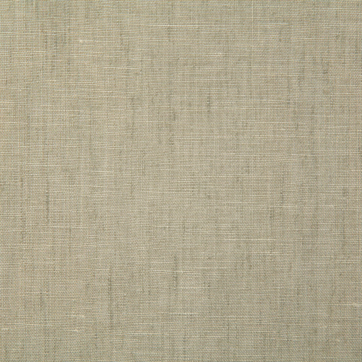 7646-linette-haze-pindler