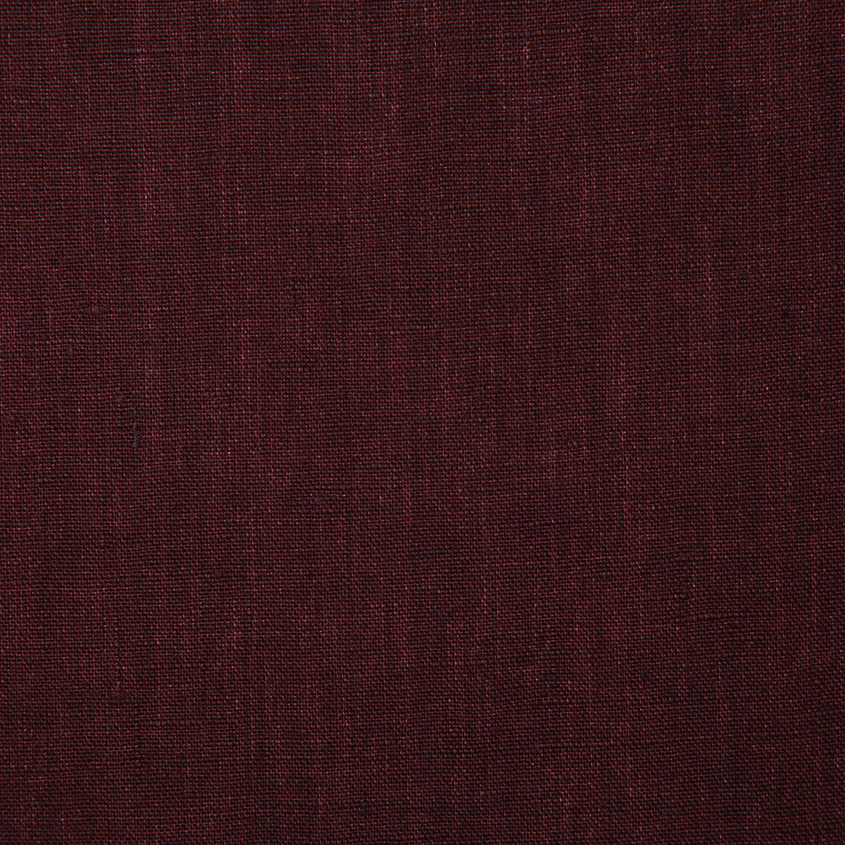 7646-linette-plum-pindler
