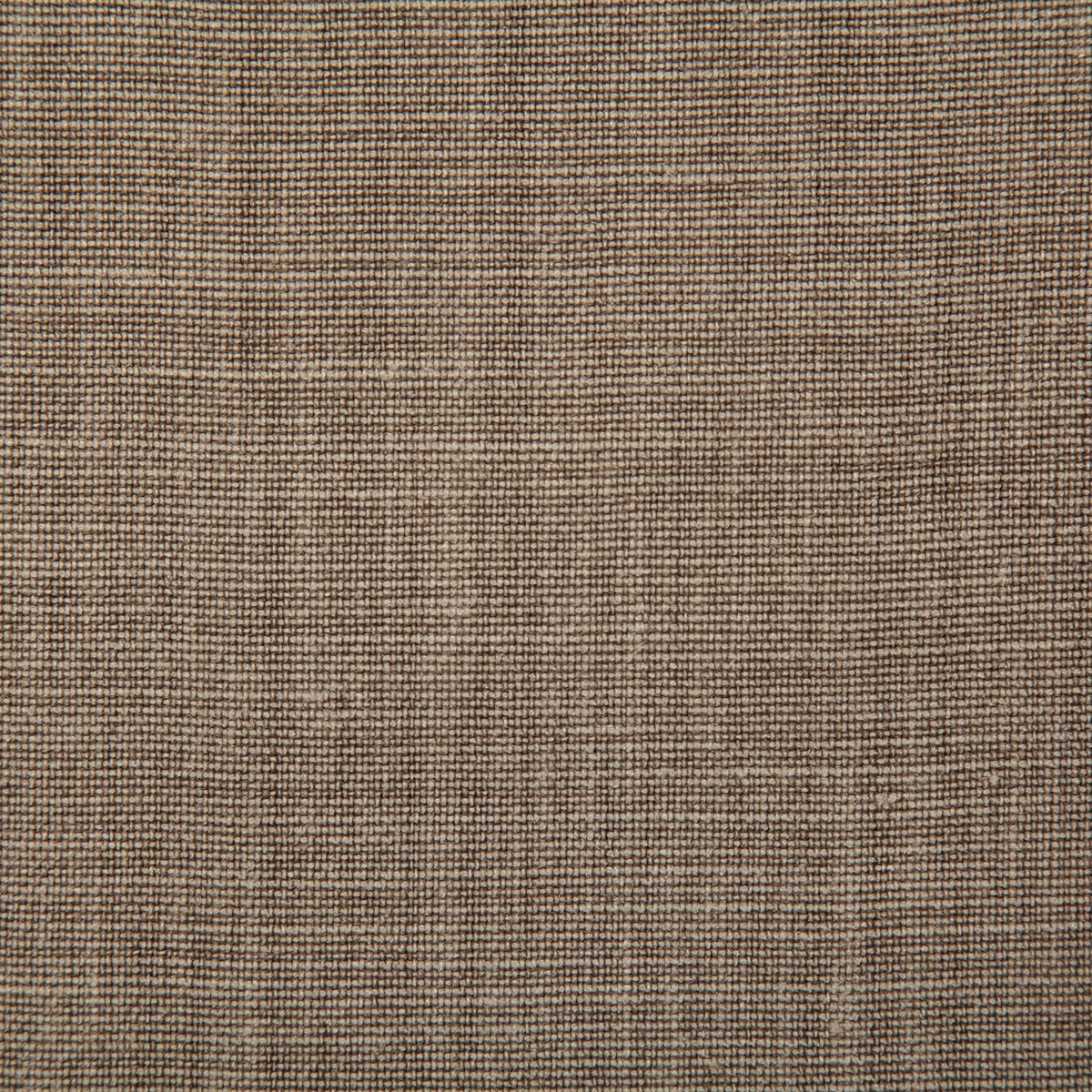 7647-paloma-driftwood-pindler