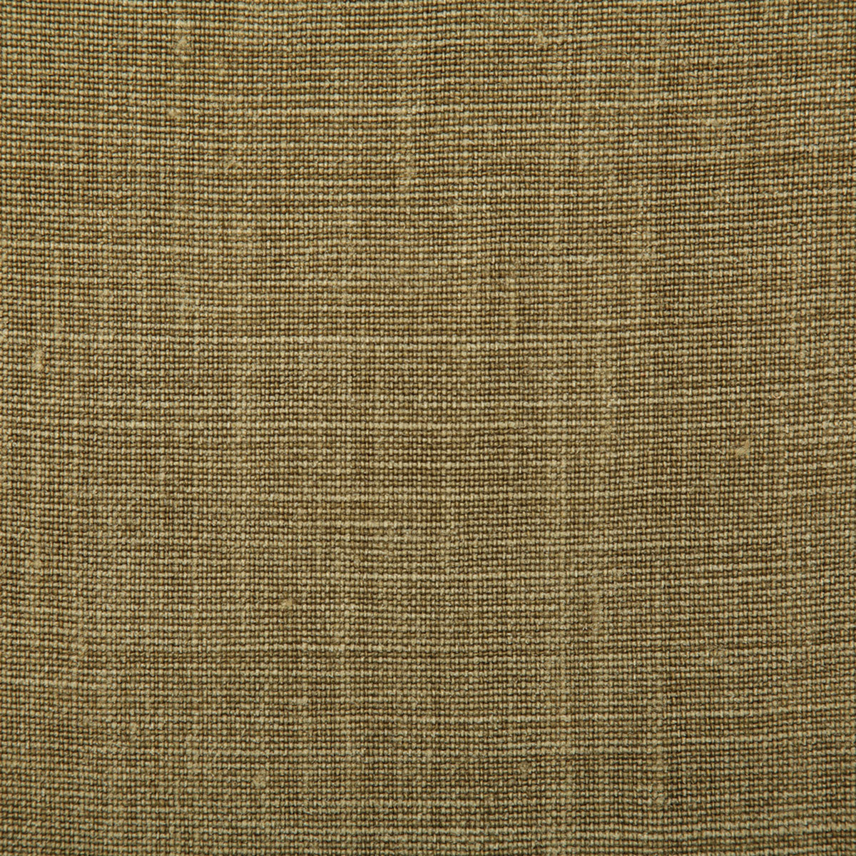 7647-paloma-moss-pindler - Pindler Tela