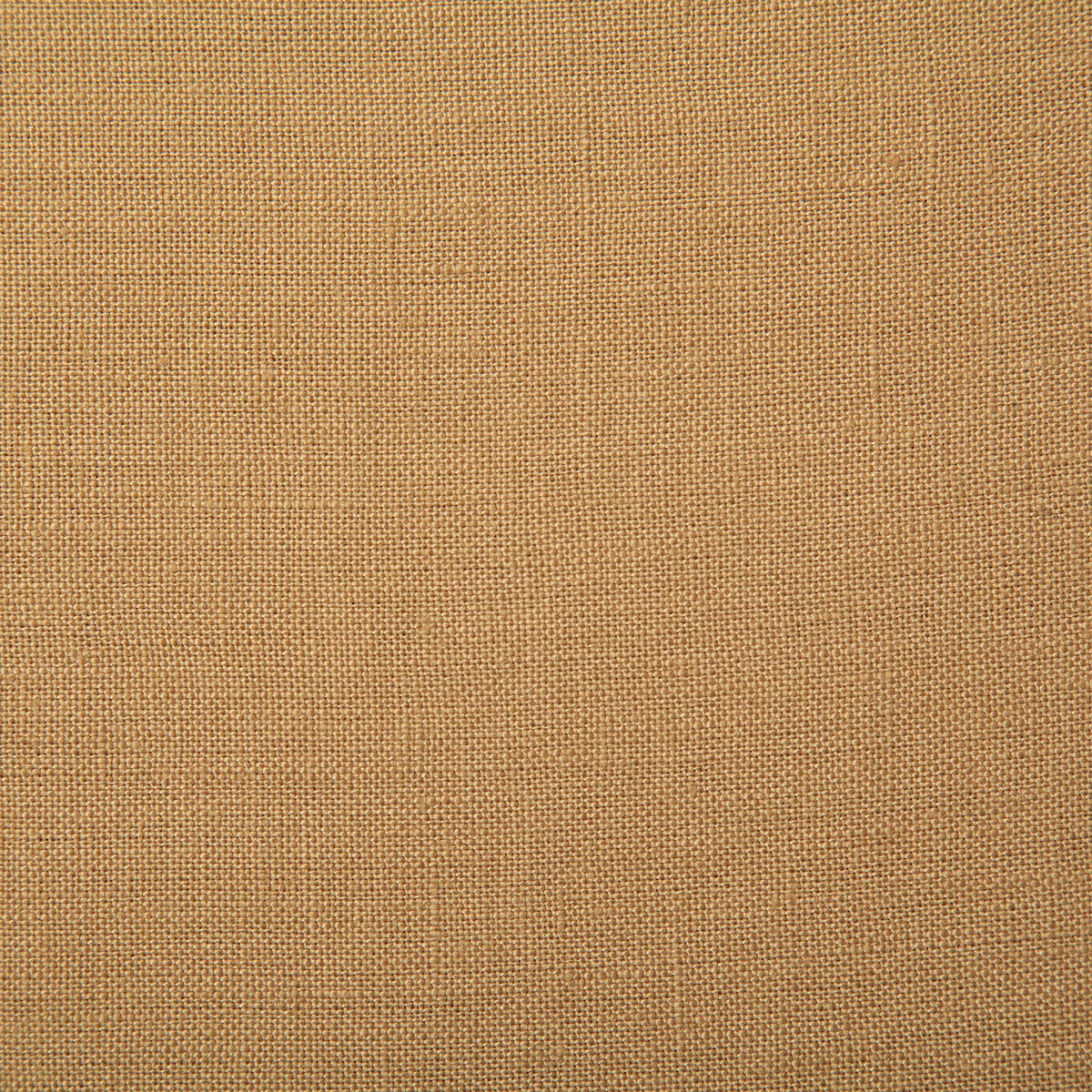 7648-princeton-camel-pindler