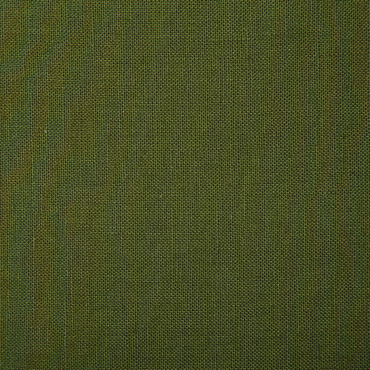 7648-princeton-evergreen-pindler