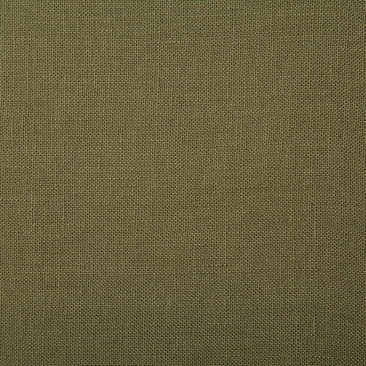 7648-princeton-moss-pindler - Pindler Tela