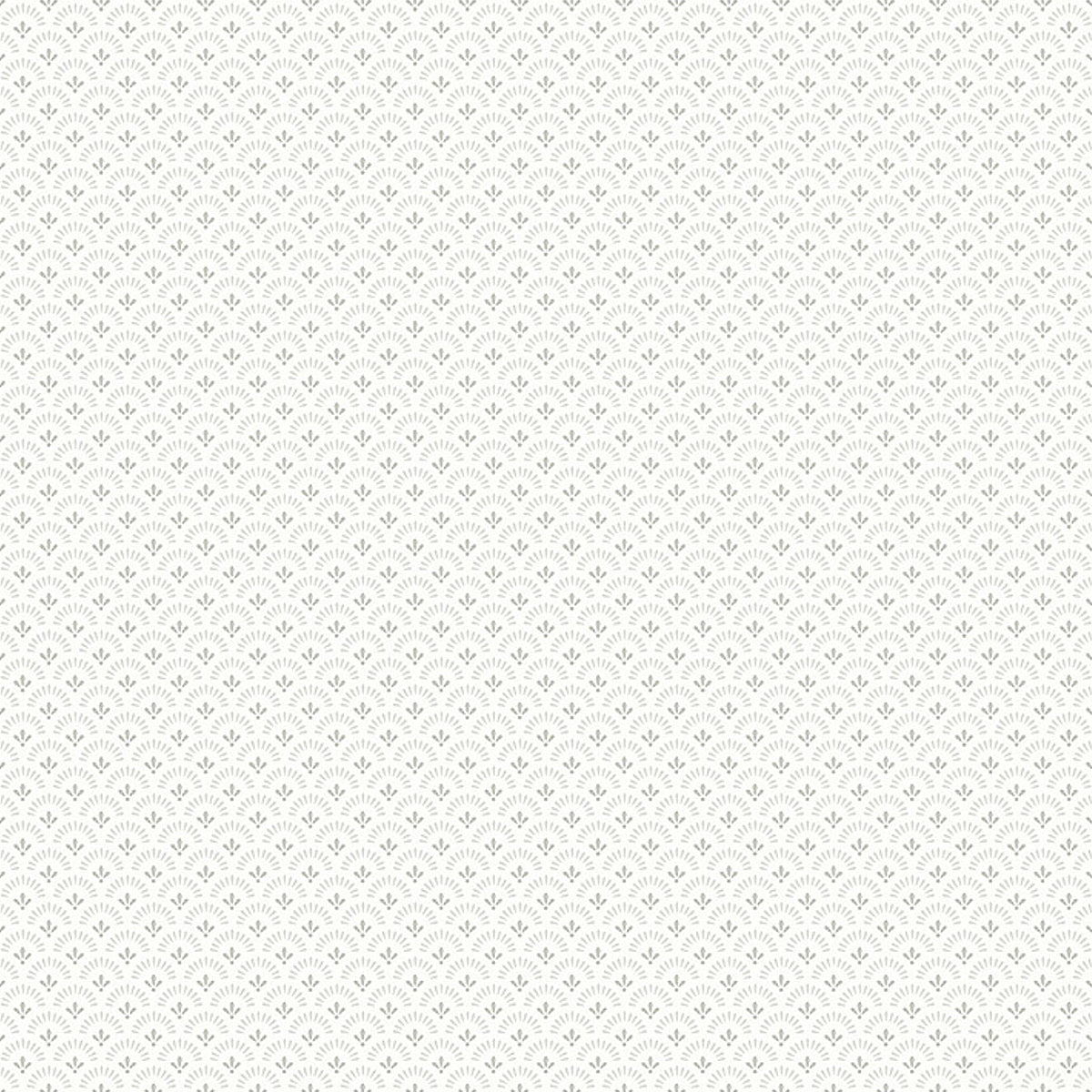 DAISY-IVORY-SCHUMACHER-7652