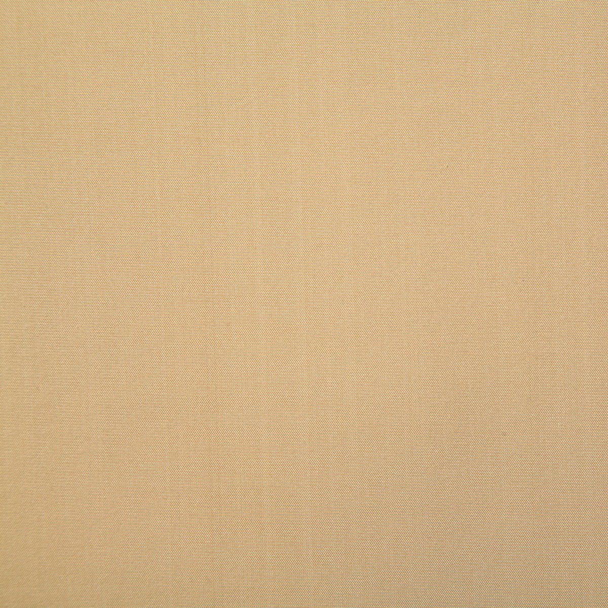 7669-stanford-golden-pindler - Pindler Tela