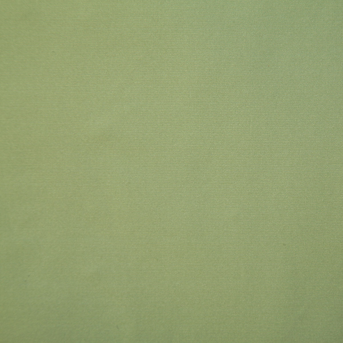 7669-stanford-spring-pindler
