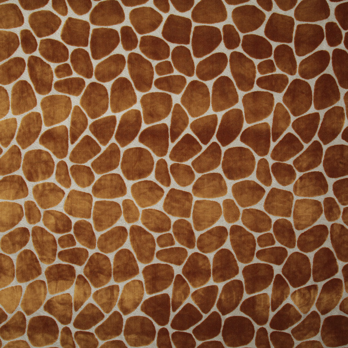 7706-lanka-amber-pindler - Pindler Tela