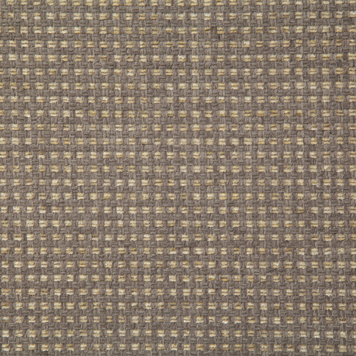 7775-irene-stone-pindler