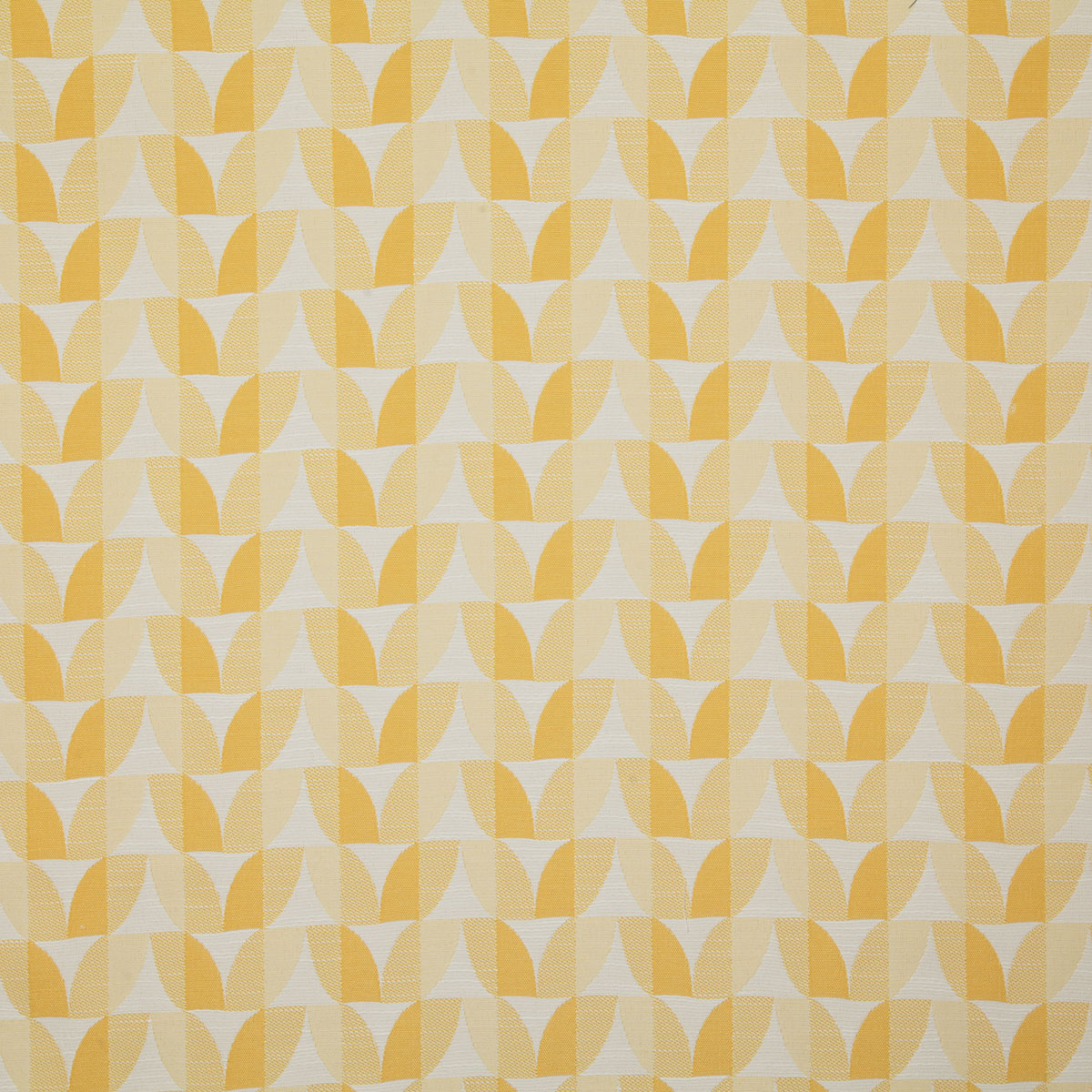 7784-furlong-lemon-pindler