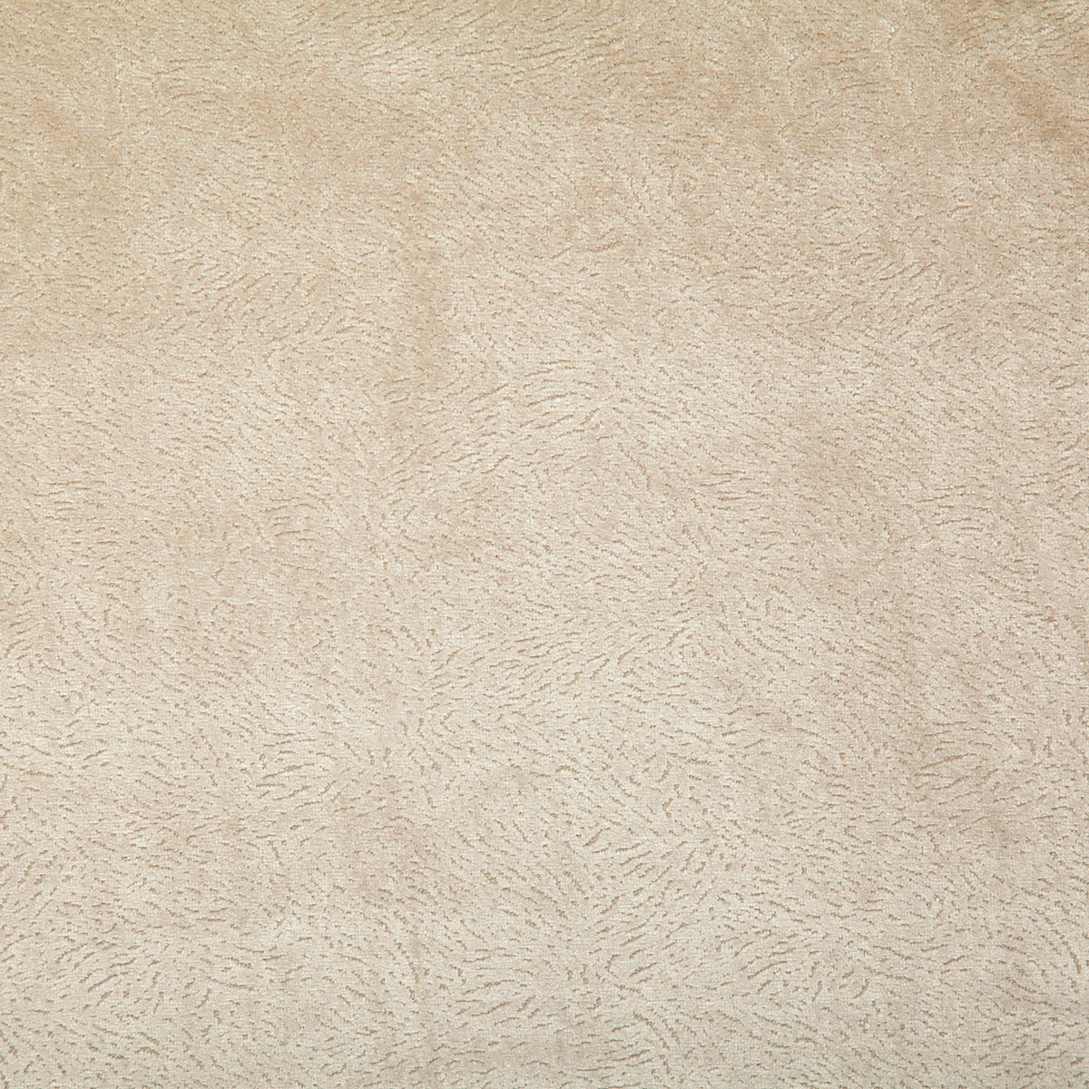 7798-multon-bisque-pindler - Pindler Tela