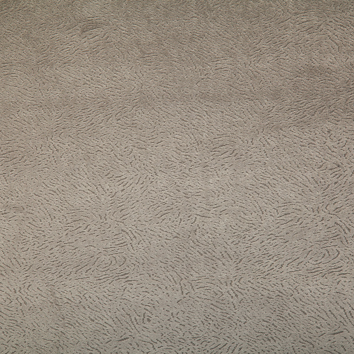 7798-multon-dove-pindler - Pindler Tela