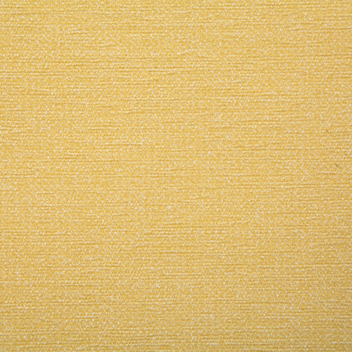 7801-packwood-buttercup-pindler - Pindler Tela