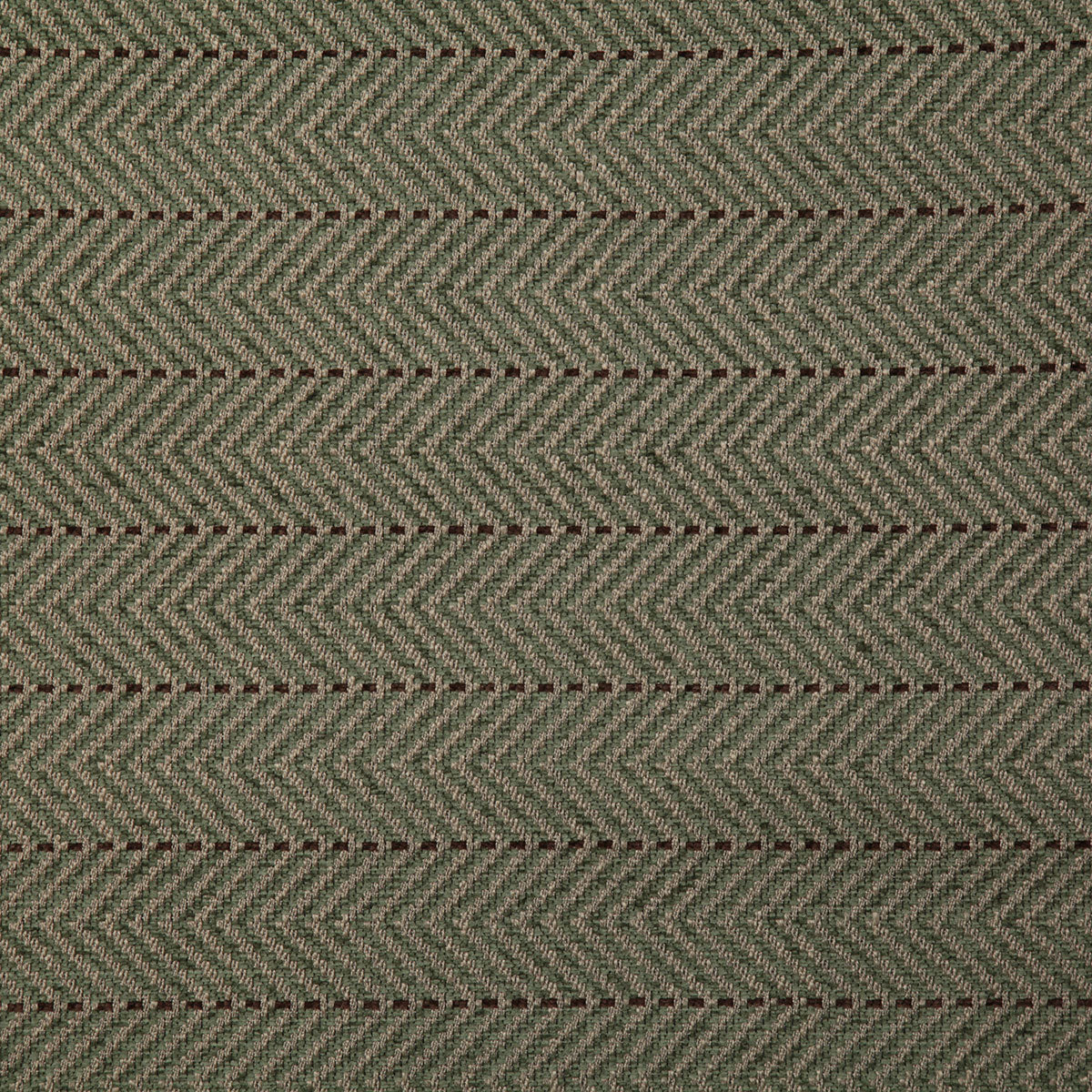 7825-cox-fern-pindler