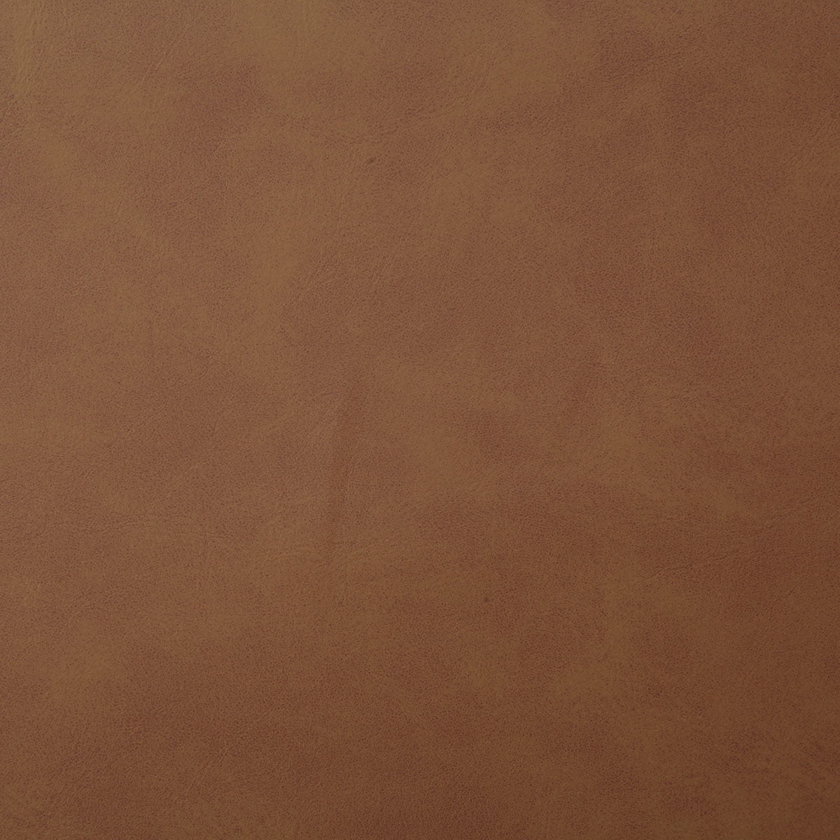 7878-yeehaw-saddle-pindler - Pindler Tela