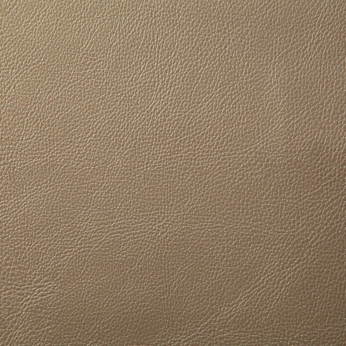 7879-howdy-champagne-pindler - Pindler Tela