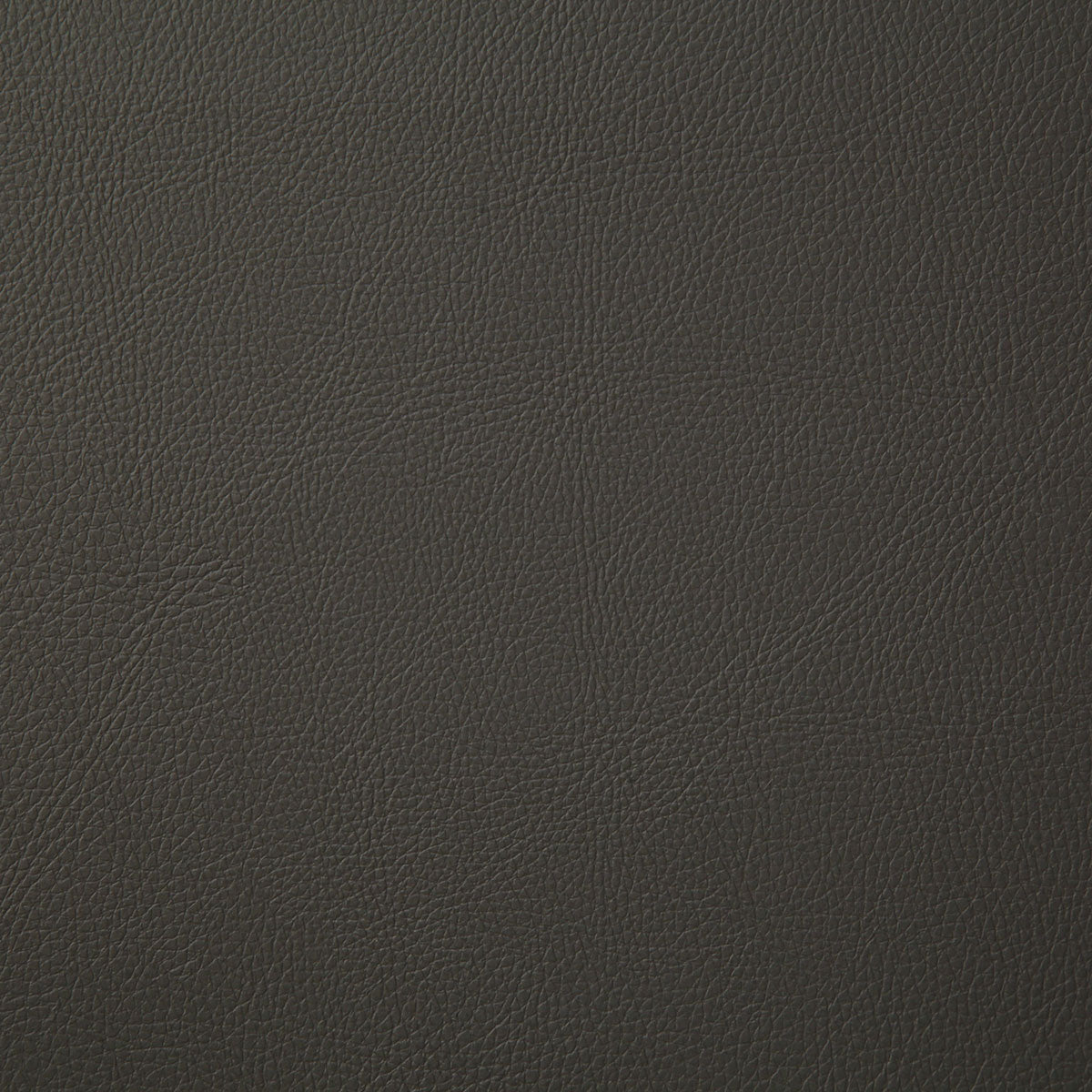 7879-howdy-charcoal-pindler - Pindler Tela