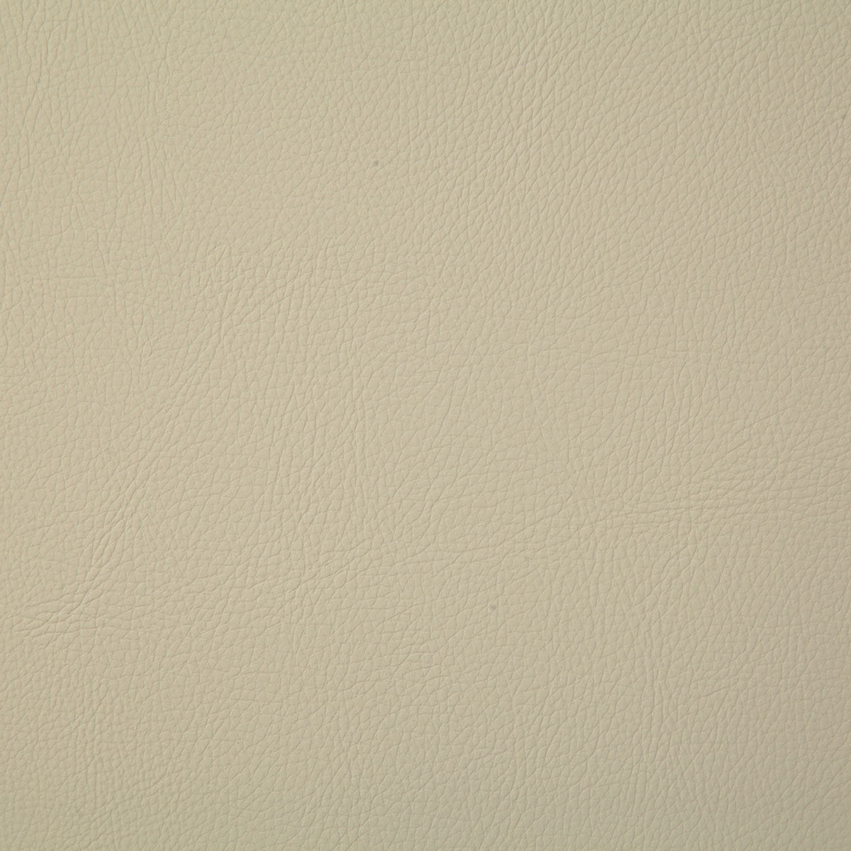 7879-howdy-tusk-pindler - Pindler Tela