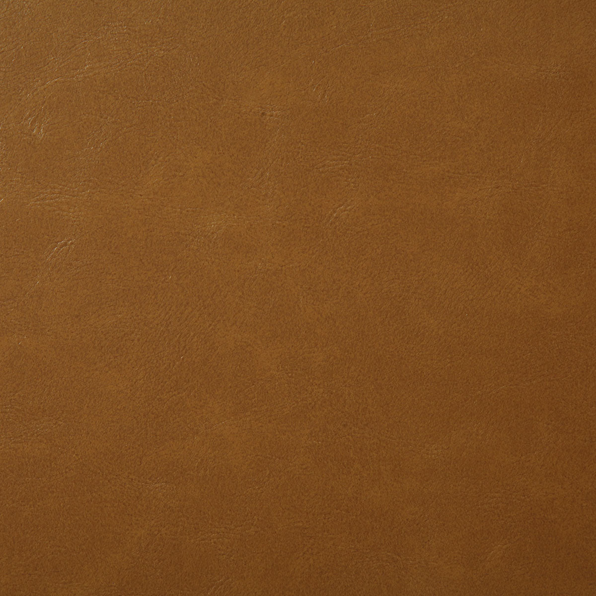 7880-bonanza-amber-pindler - Pindler Tela