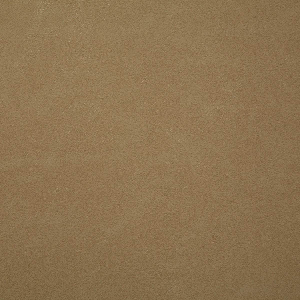 7880-bonanza-beige-pindler - Pindler Tela
