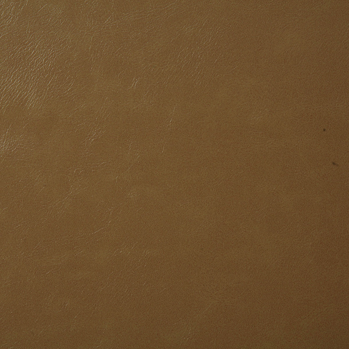 7880-bonanza-butterscotch-pindler - Pindler Tela