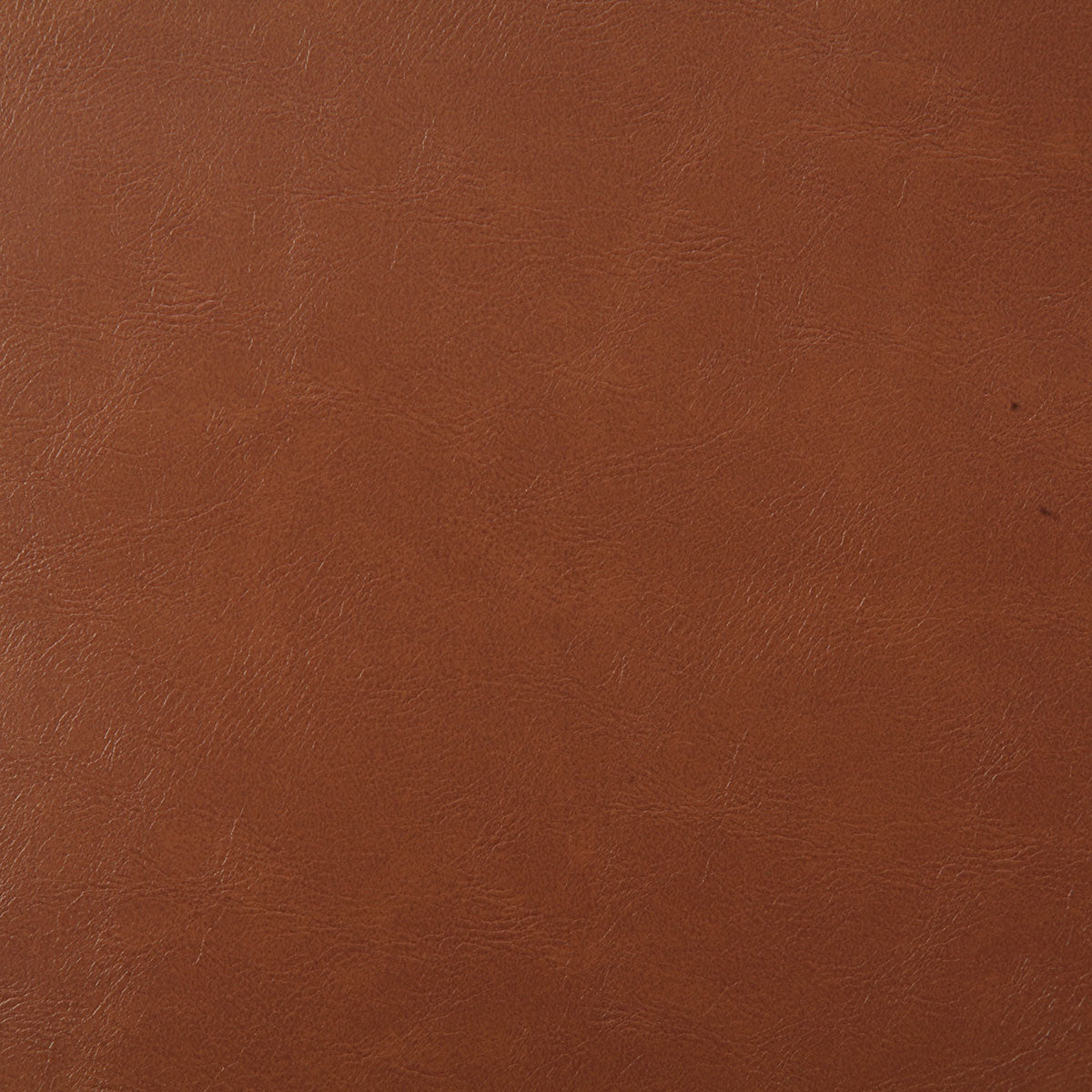 7880-bonanza-spice-pindler - Pindler Tela