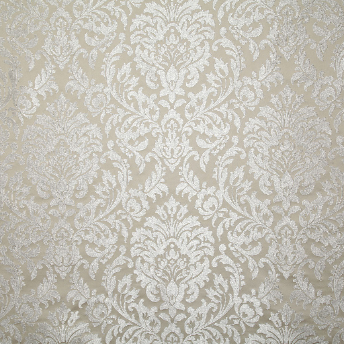7952-adela-champagne-pindler