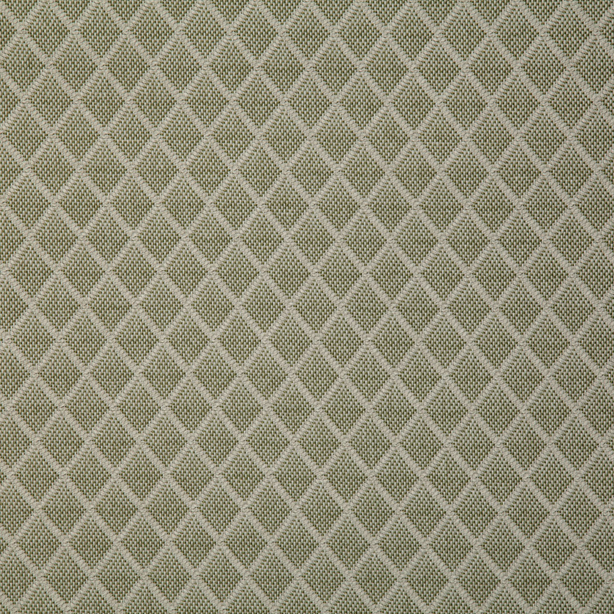 7955-harrogate-palm-pindler